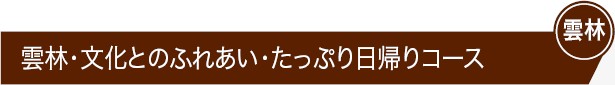 雲林・文化とのふれあい・たっぷり日帰りコース