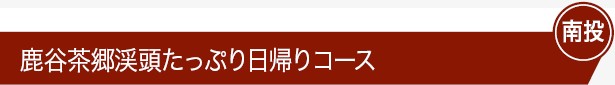 鹿谷茶郷渓頭たっぷり日帰りコース